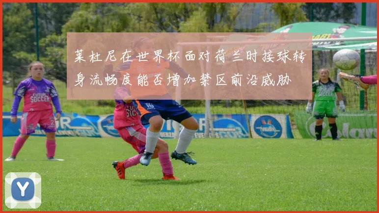 【体育在线365手机版APP】莱杜尼在世界杯面对荷兰时接球转身流畅度能否增加禁区前沿威胁