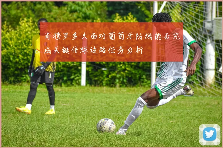 肖穆罗多夫面对葡萄牙防线能否完成关键传球边路任务分析
