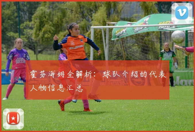 霍芬海姆全解析：球队介绍的代表人物信息汇总