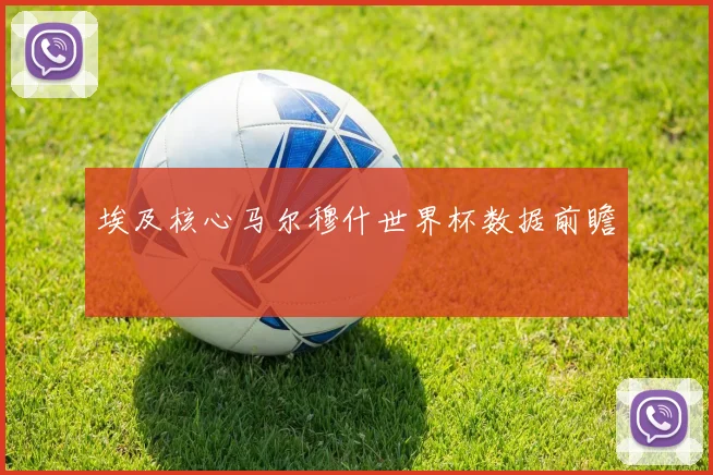 埃及核心马尔穆什世界杯数据前瞻