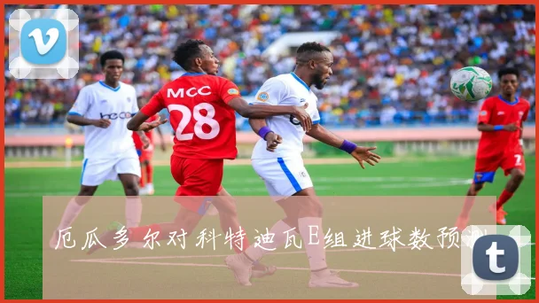 厄瓜多尔对科特迪瓦E组进球数预测 — 详细说明