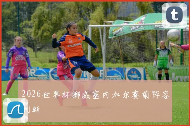 2026世界杯挪威塞内加尔赛前阵容判断